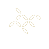 スタッフブログ