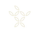 お問い合わせ・アクセス